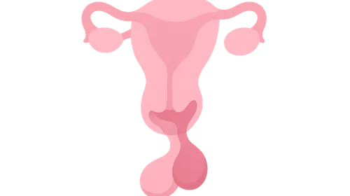 Pituitary Disorders in Pregnancy