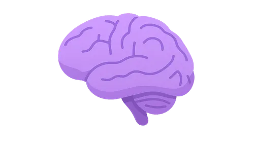 Neuroanatomy for Psychiatry