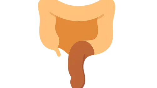 Pelvic Floor Disorders