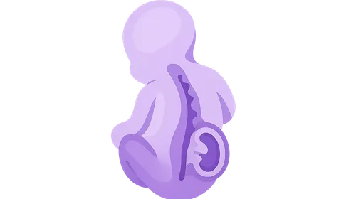 Neural Tube Defects