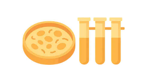 Bacterial identification methods