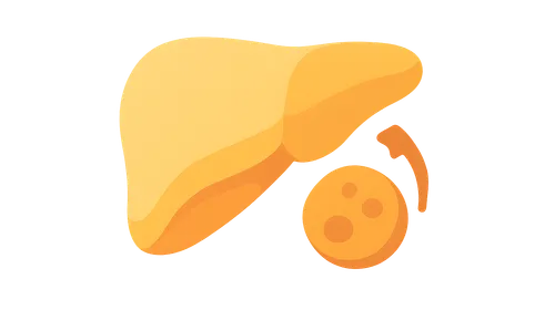 Detoxification of Heavy Metals