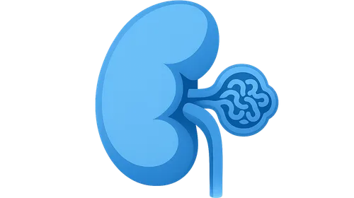 Glomerular diseases overview