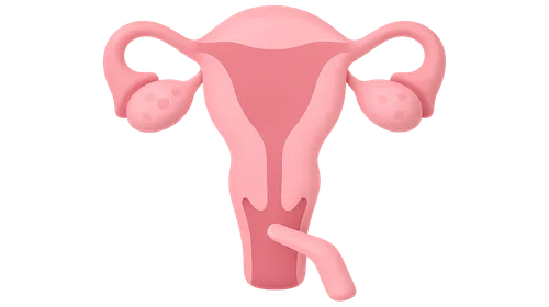 Evaluation of Menstrual Disorders