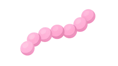 Group B streptococci