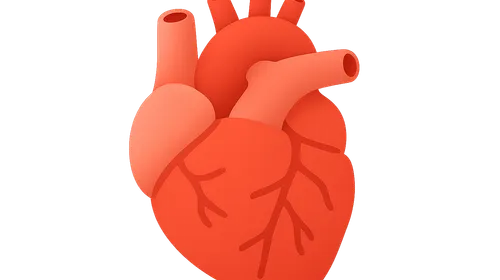 Cardiac rehabilitation