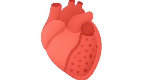 Pericardial diseases