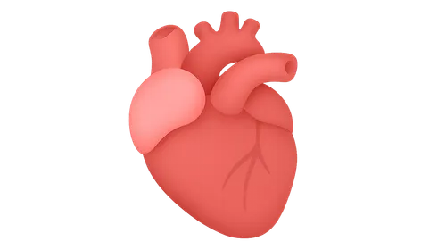 Atrial contribution to cardiac function