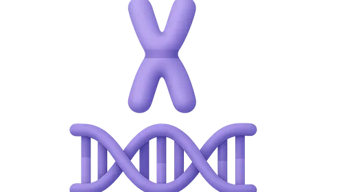 Chromosomal structure