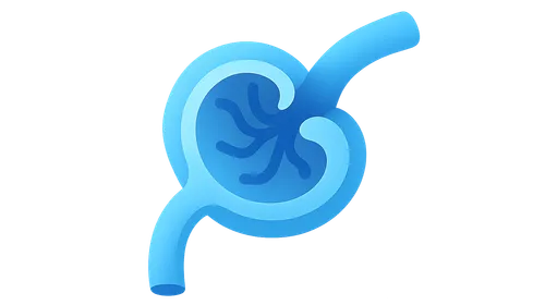 Glomerular filtration