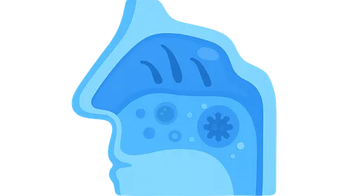 Pathophysiology of Allergic Rhinitis