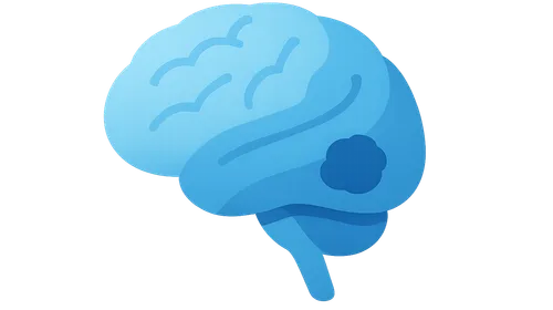Clinical Correlations in Neuroanatomy