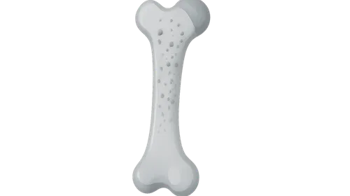 Metabolic Bone Diseases