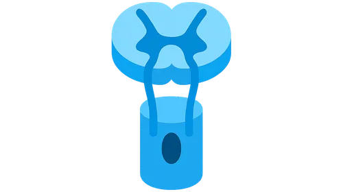Spinal cord injury levels and their effects