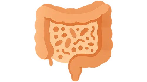 Gastrointestinal microbiome