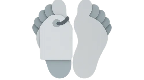 Identification Protocols