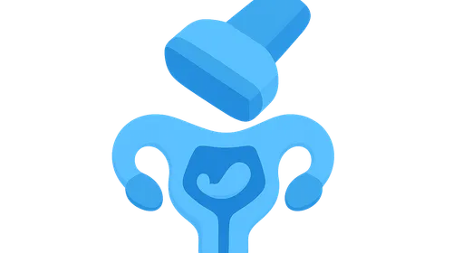 Pelvic Ultrasonography