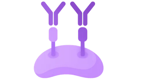 Immune checkpoint pathways