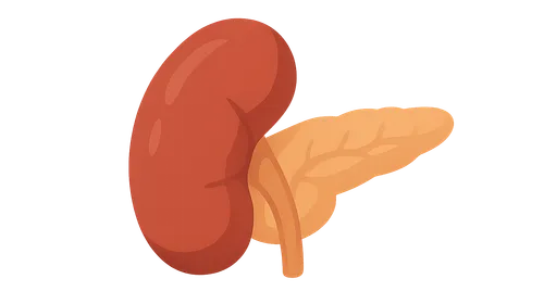 Spleen and pancreas