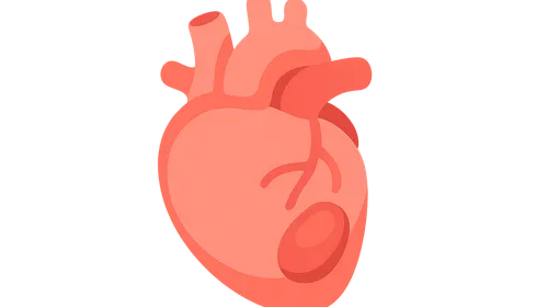 Cardiac complications and evaluation