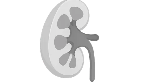 Imaging Aspects of Anatomical Variations