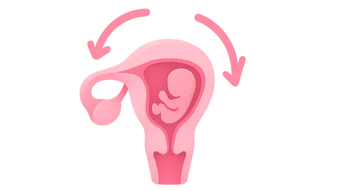 Hormonal Regulation of Labor