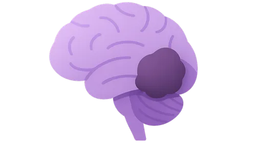 Other Cerebellopontine Angle Tumors
