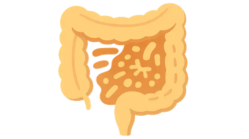 Dysbiosis and Disease