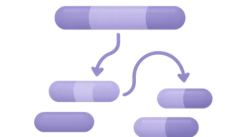 RNA splicing and alternative splicing