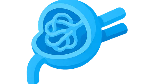 Glomerular structure and function