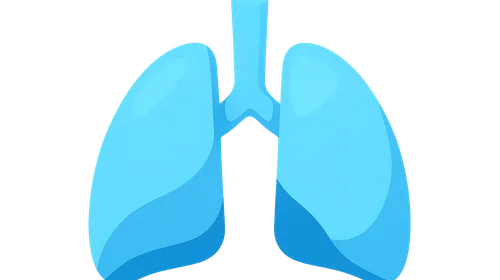 Respiratory Acidosis and Alkalosis