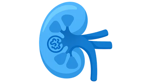 CKD etiology and pathophysiology
