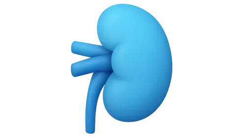 Integrative Responses to Fluid Challenges