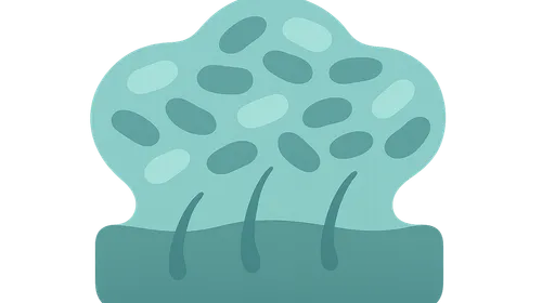 Biofilms in chronic infections