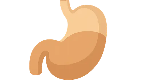 Pathophysiology of Obesity