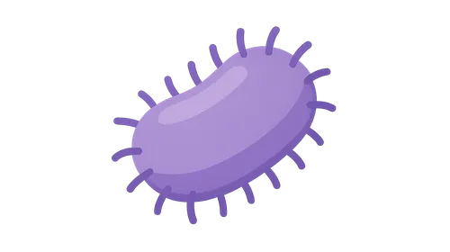 Klebsiella species