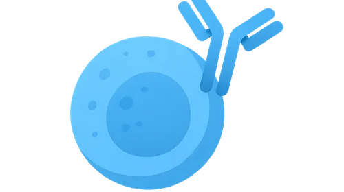 B-cell depleting antibodies
