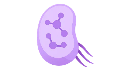 Molecular Aspects of Development