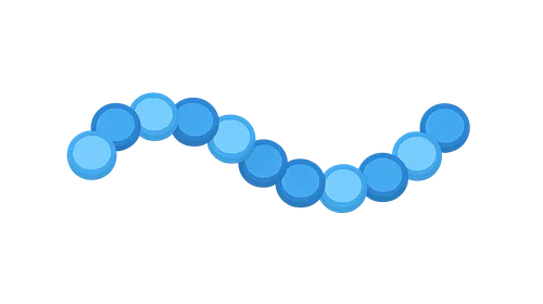 Primary Structure of Proteins