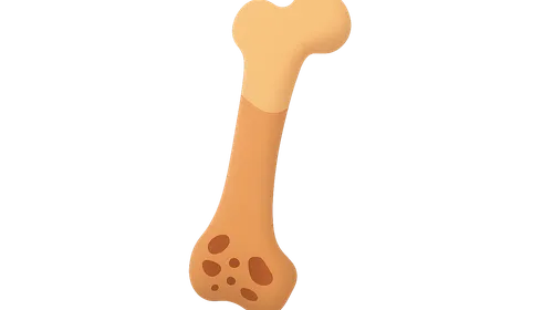 Metabolic Bone Diseases