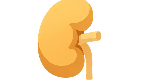 Diabetes complications and screening