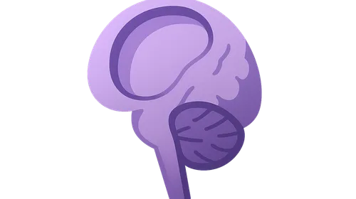 Congenital CNS malformations