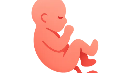 Episiotomy and Repair