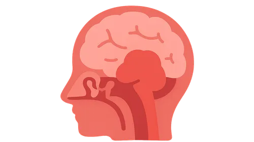 Intracranial Complications of Otitis Media