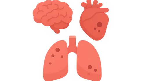 Multiple Organ Dysfunction Syndrome
