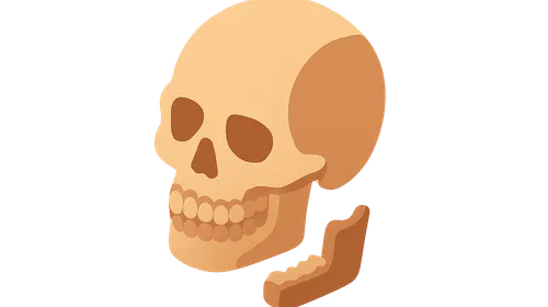 Dental Identification in Mass Disasters