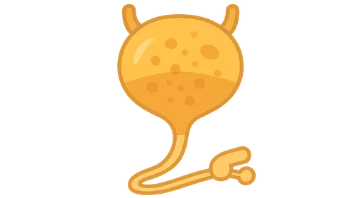 Catheter-Associated Urinary Tract Infections