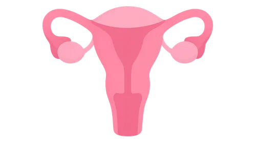 Preconception Counseling