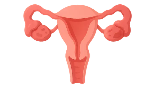 Pelvic inflammatory disease complications