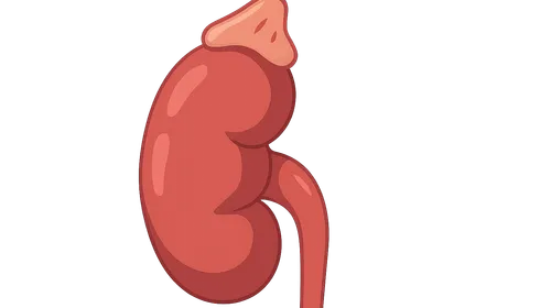 Endocrine Hypertension